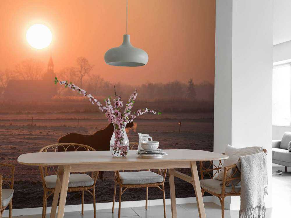 Paard in de Ochtendgloed