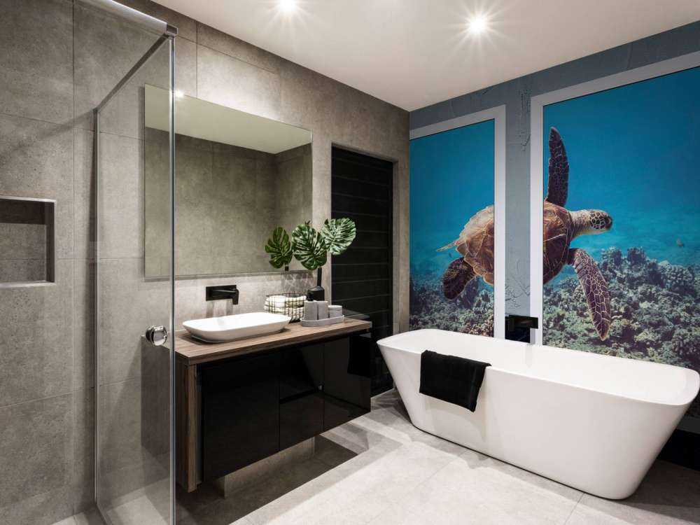 Zeeschildpad boven koraalrif