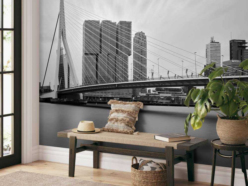 Erasmusbrug zwart wit