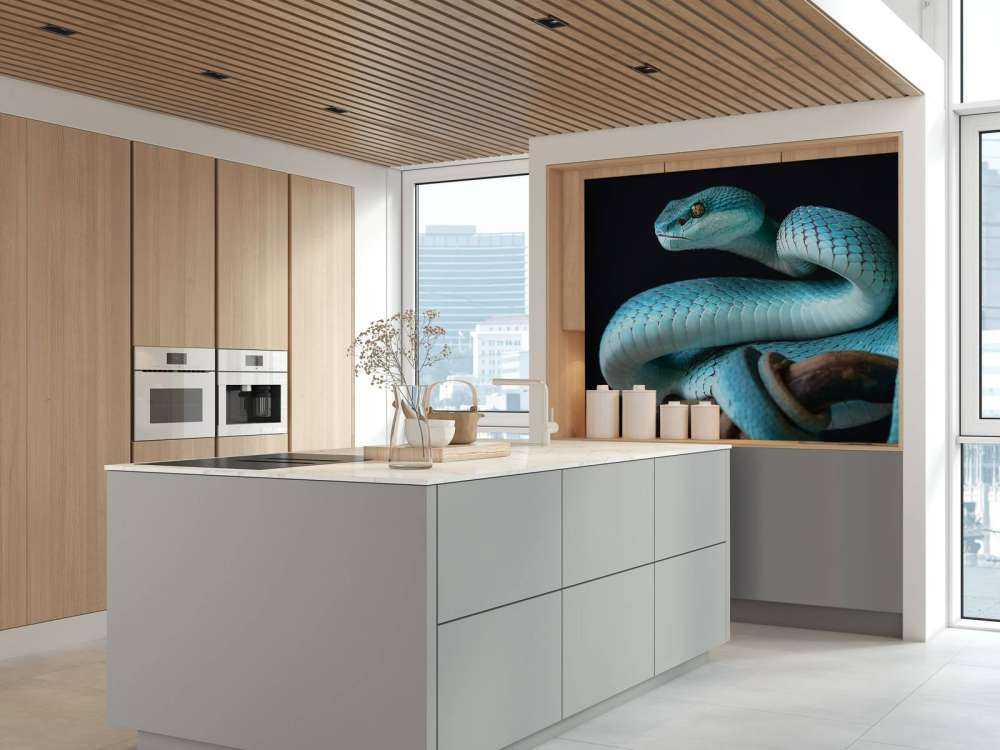 Blauwe Insularis slang