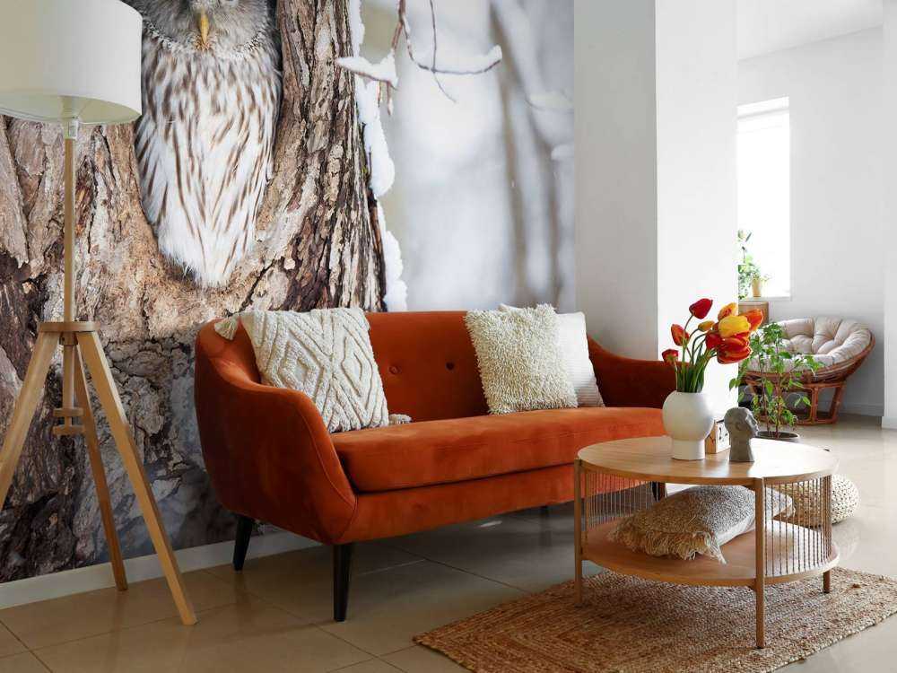 Witte uil in een holle boom