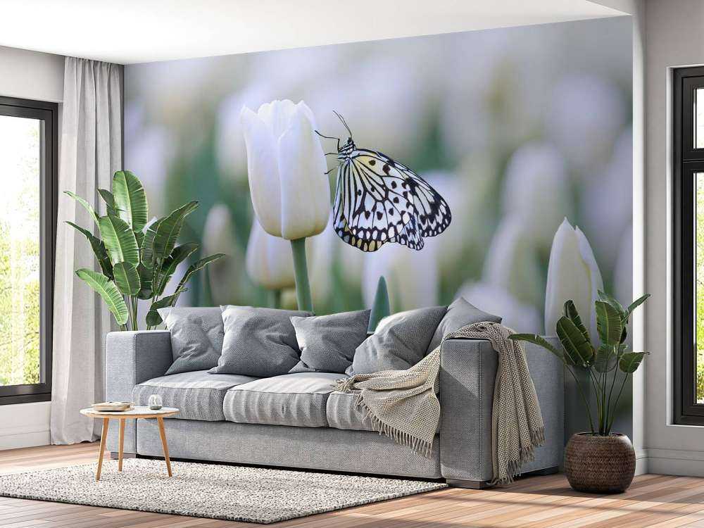 Vlinder op een witte tulp