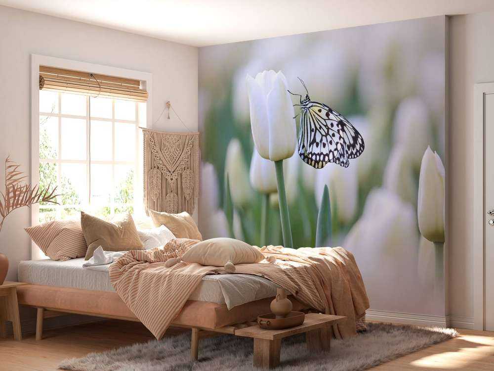 Vlinder op een witte tulp