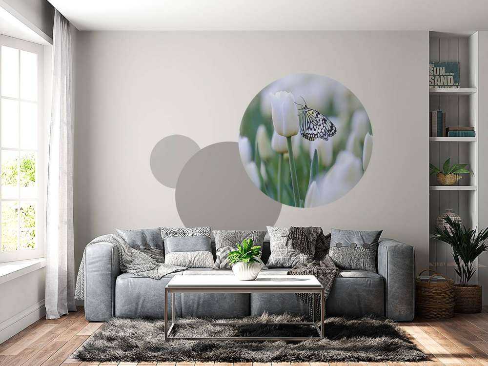 Vlinder op een witte tulp