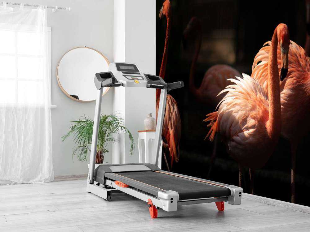 Flamingo's met een donkere achtergrond