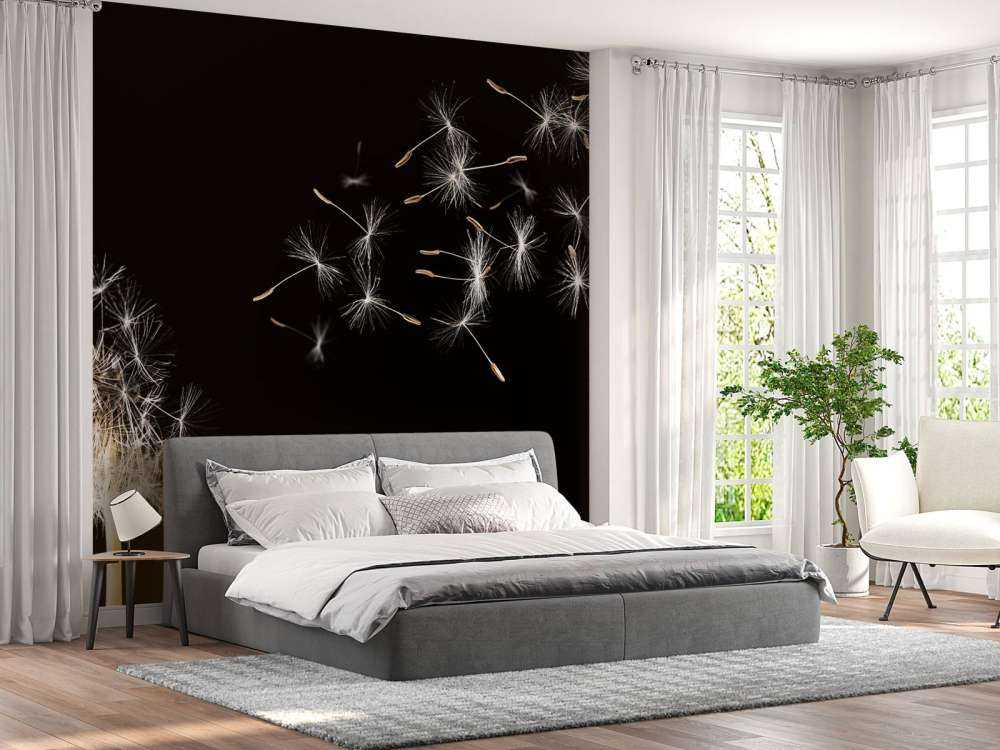 Paardebloem met een zwarte achtergrond