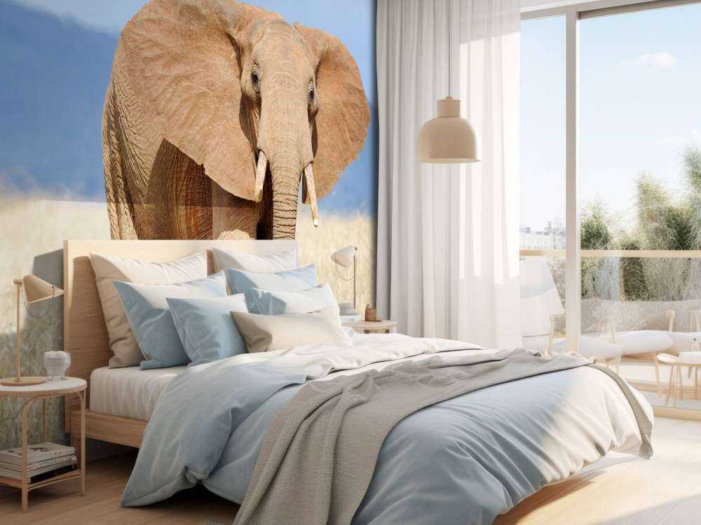 Grote olifant in hoog gras