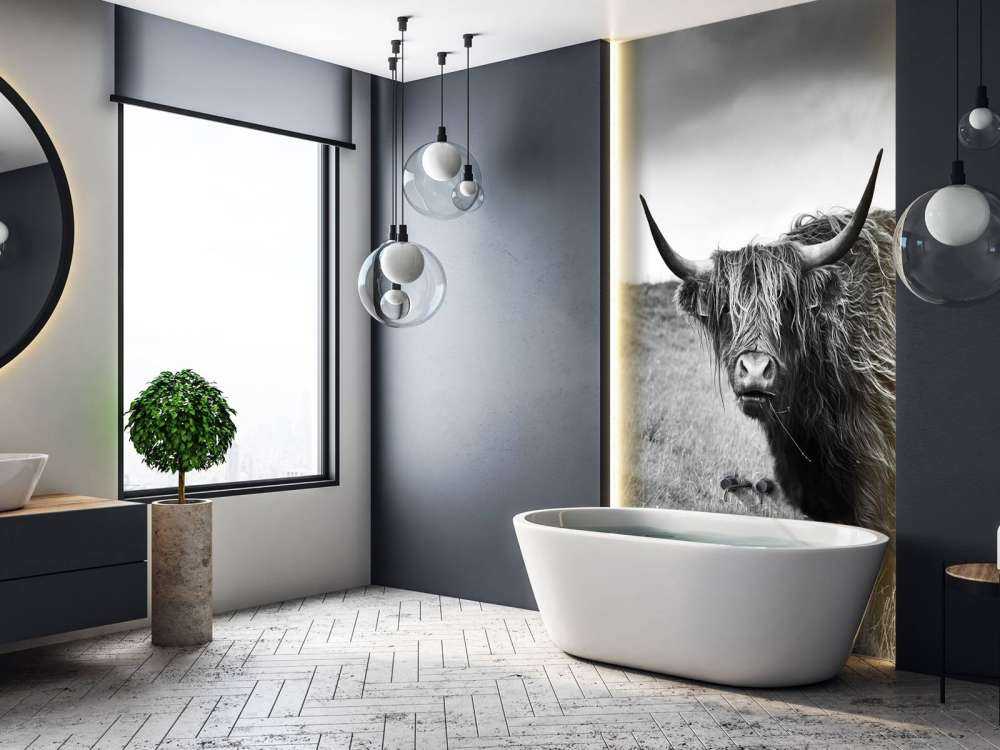 Schotse Hooglanders in zwart-wit