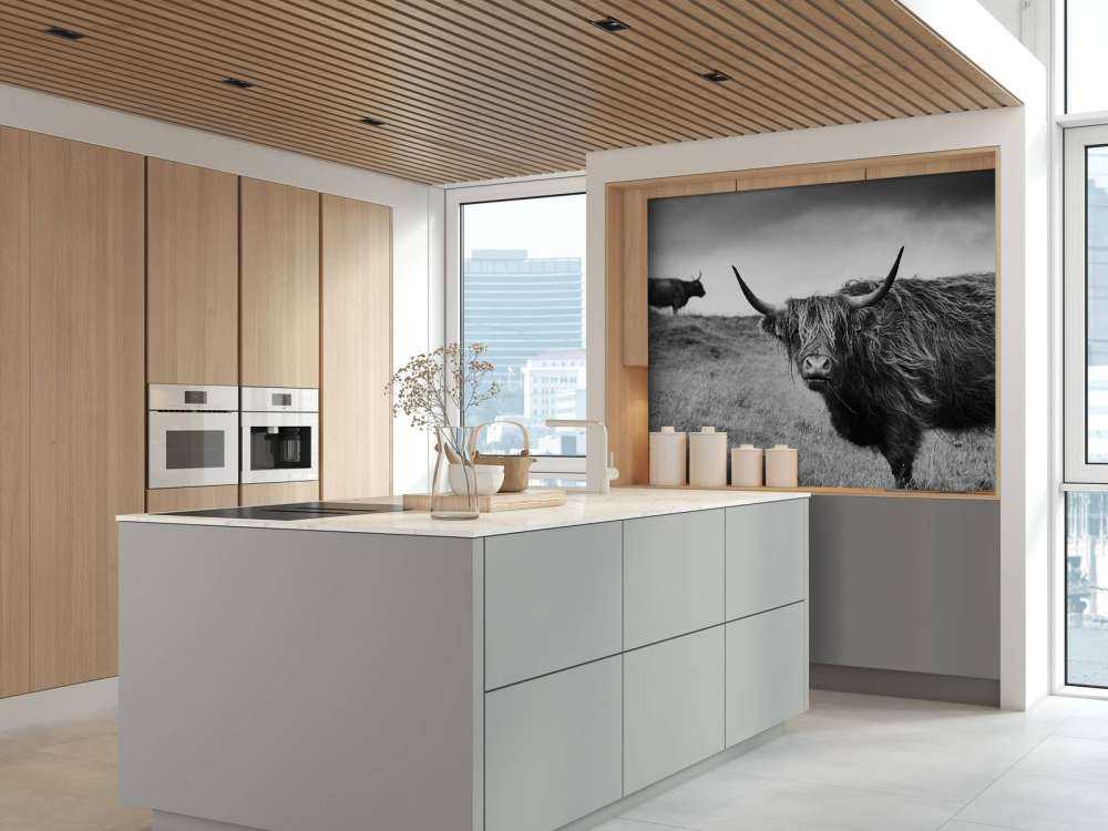 Schotse Hooglanders in zwart-wit