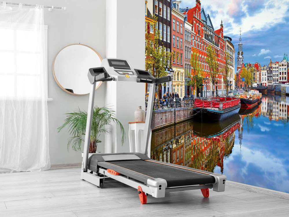 De Amstel door Amsterdam