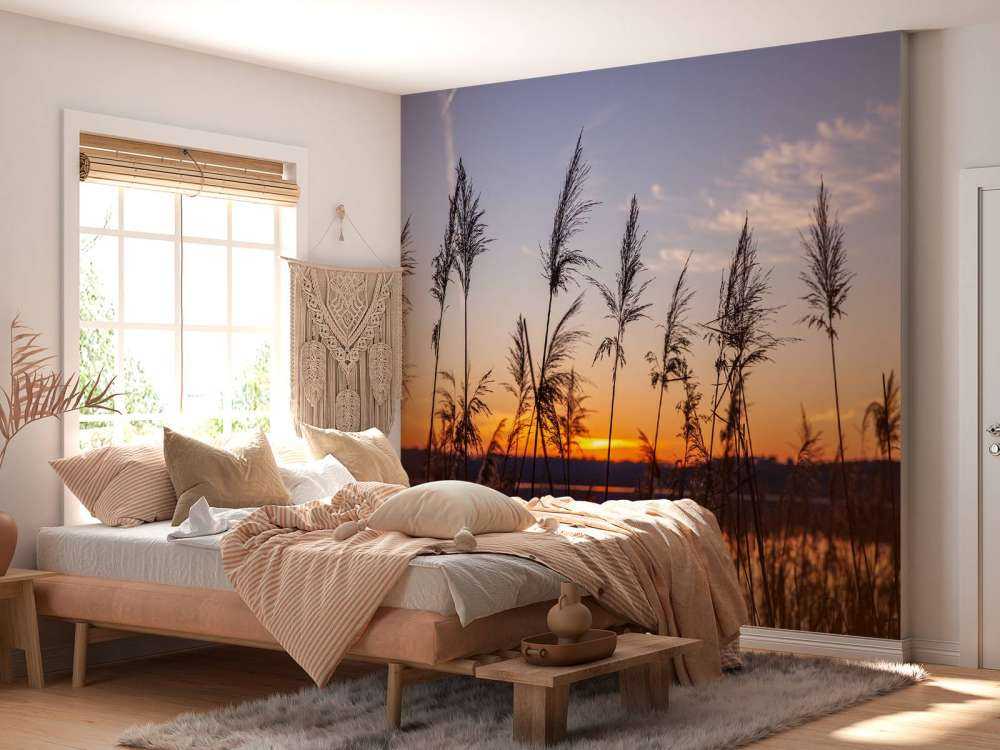 Rivier met riet bij zonsondergang