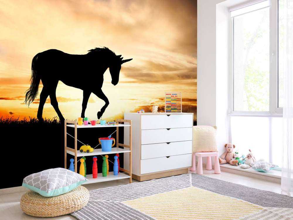 Unicorn silhouette bij zonsondergang