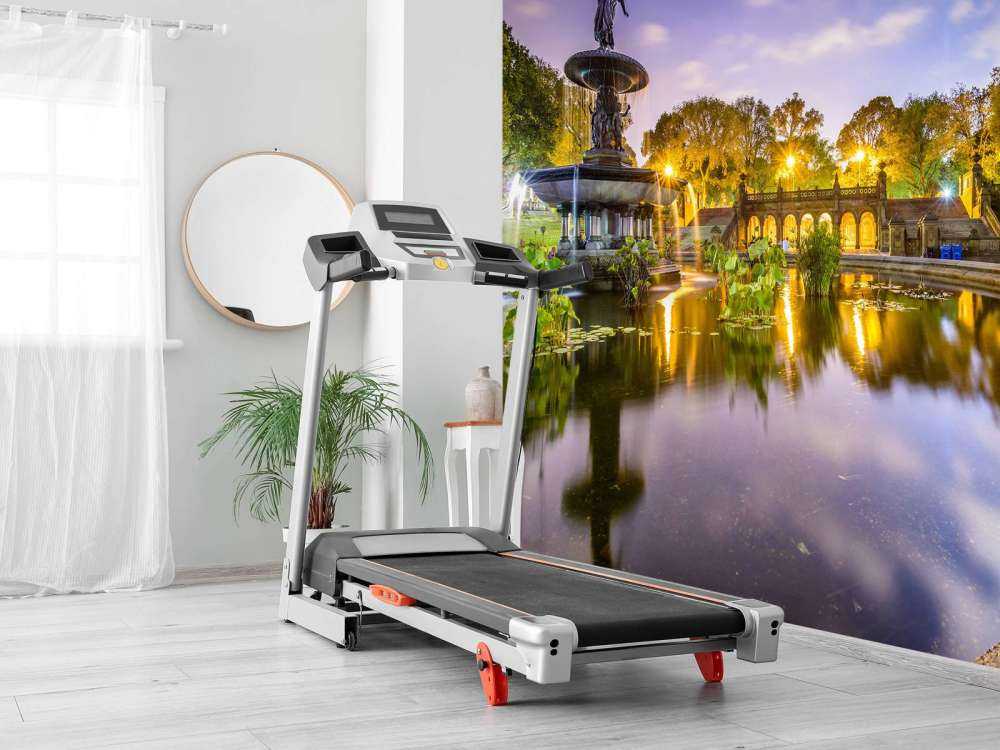 Bethesda Terrace en Fountain in Central Park