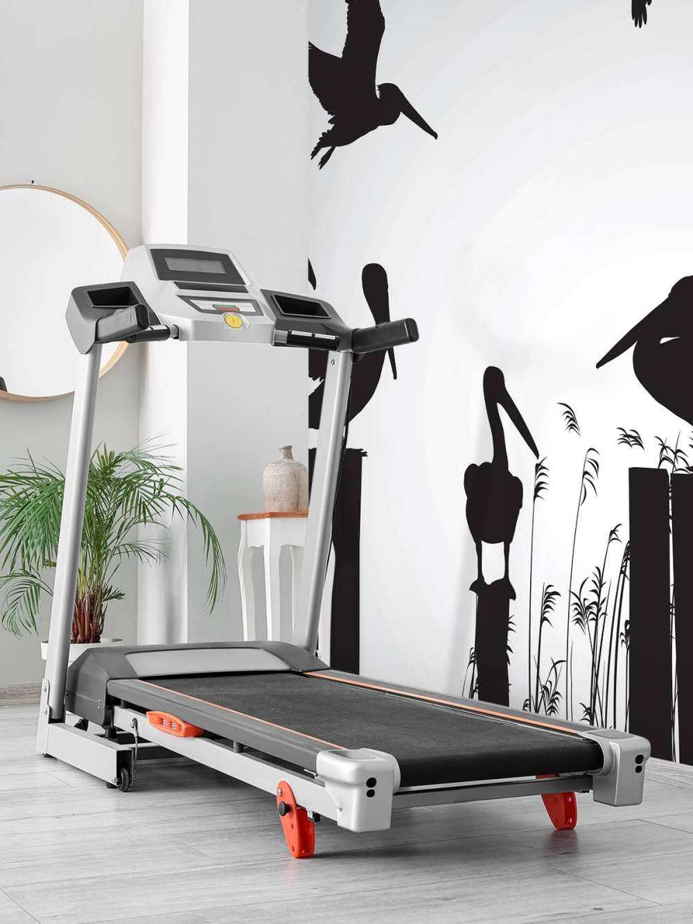 Pelikanen op een pier