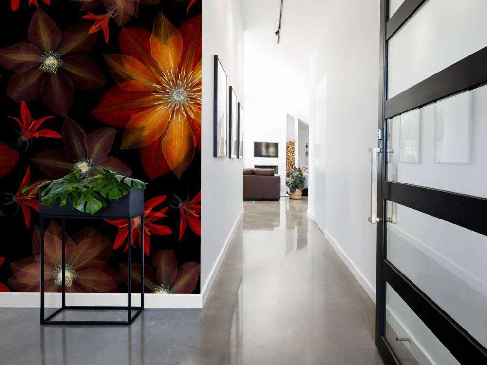 Rode clematis bloemen