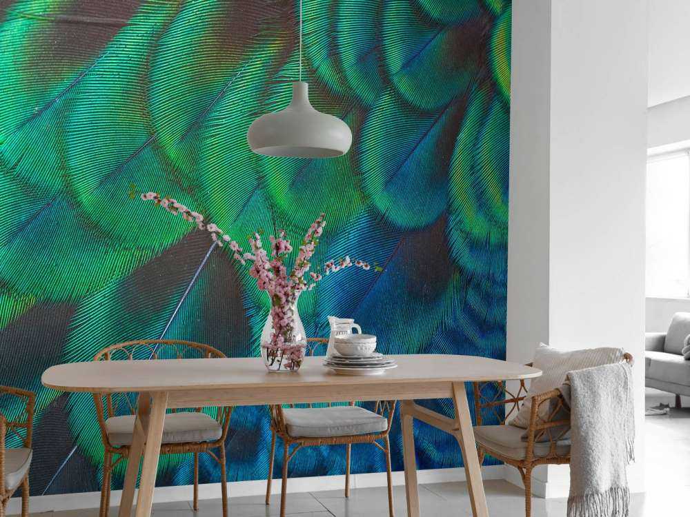 Close-up van pauwenveren