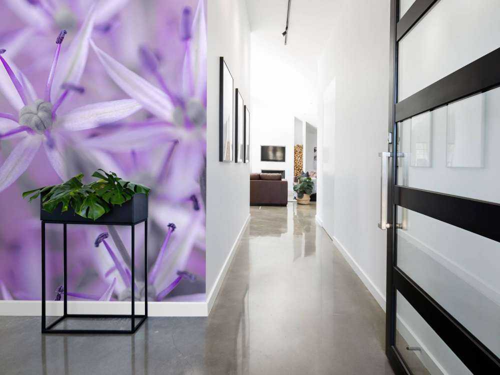 Paarse allium bloemen