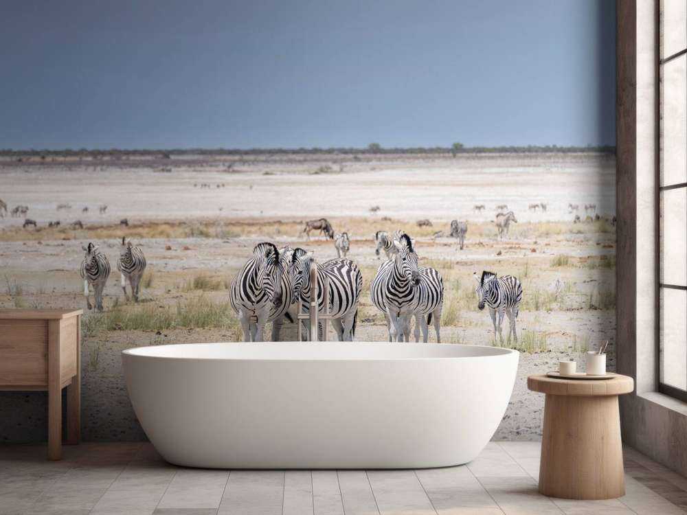 Landschap met zebra's