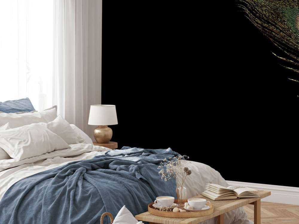 Kleurrijke pauwenveer