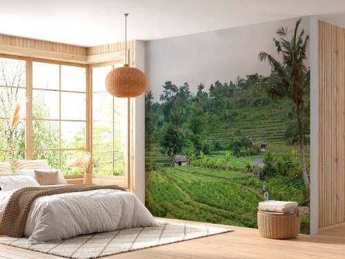 Rijstveld in Bali