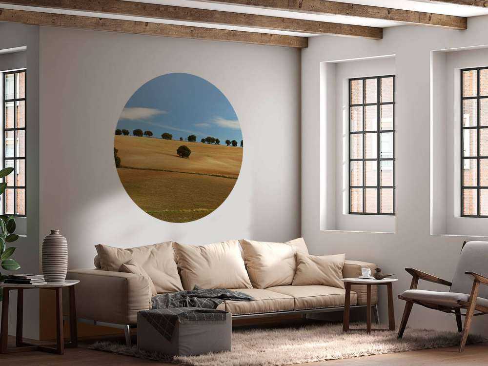 Bomen in Spaans landschap