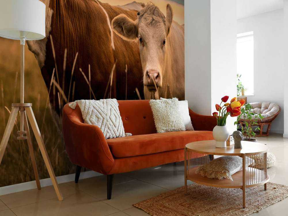 Koeien in de avondzon