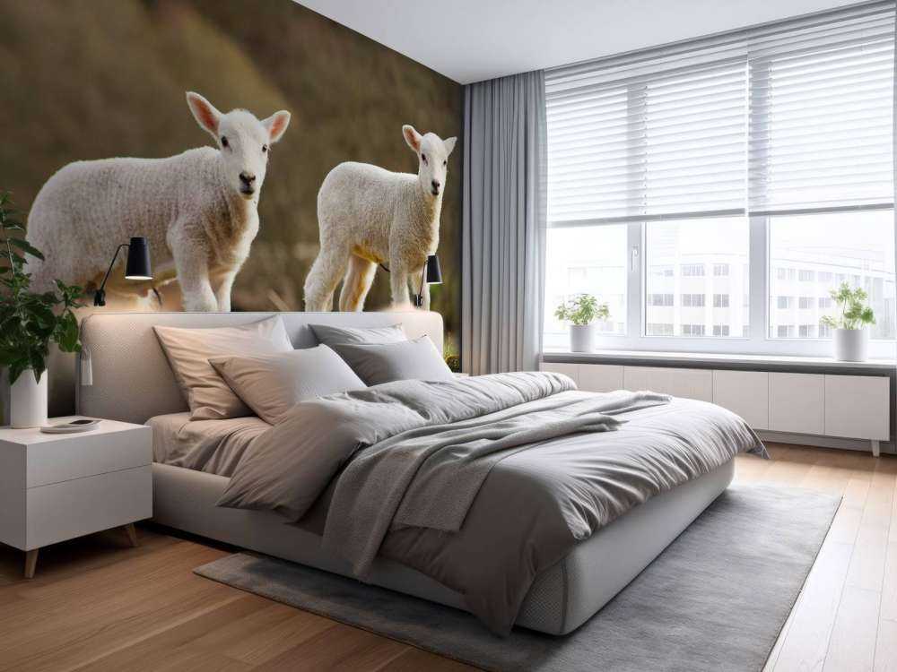 Witte lammetjes