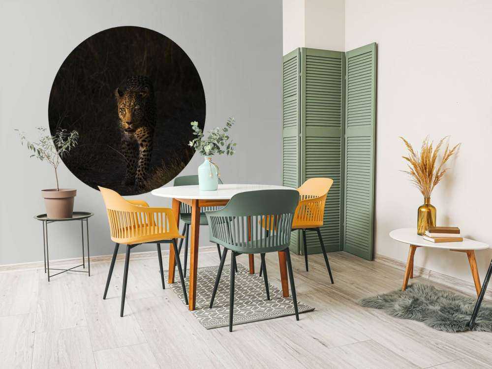 Luipaard met zonsondergang