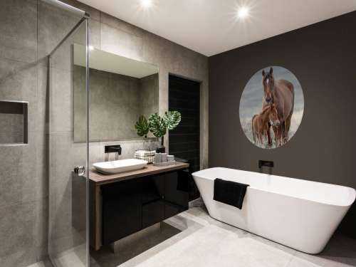 Wilde paarden