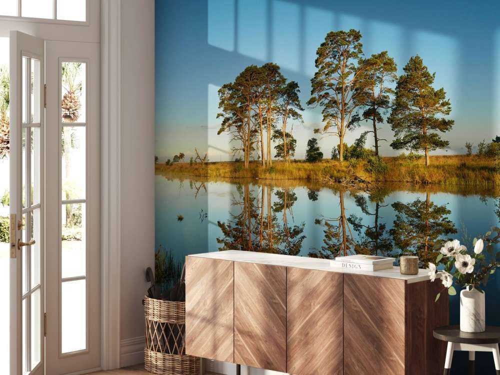 Weerspiegeling in bosmeertje