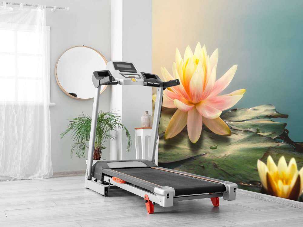 Vijver met lotusbloemen