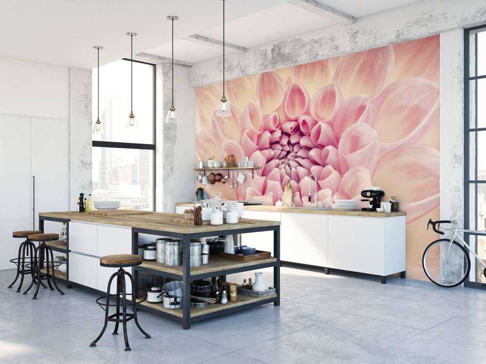 Dahlia close-up foto