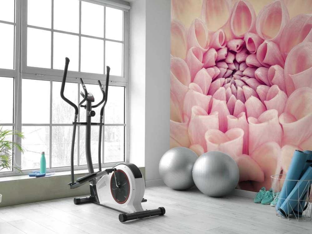 Dahlia close-up foto