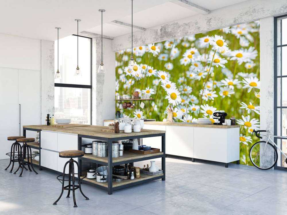 Madeliefjes in een veld