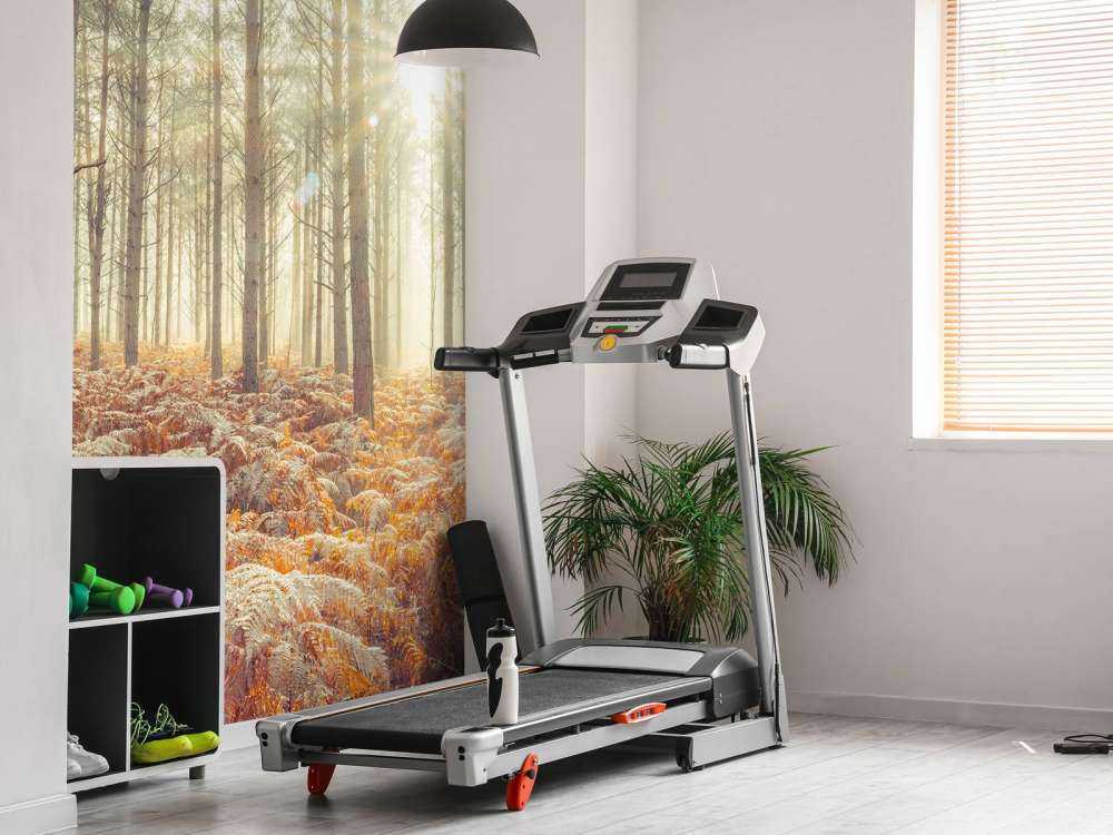 Zonnestralen door de koude bomen