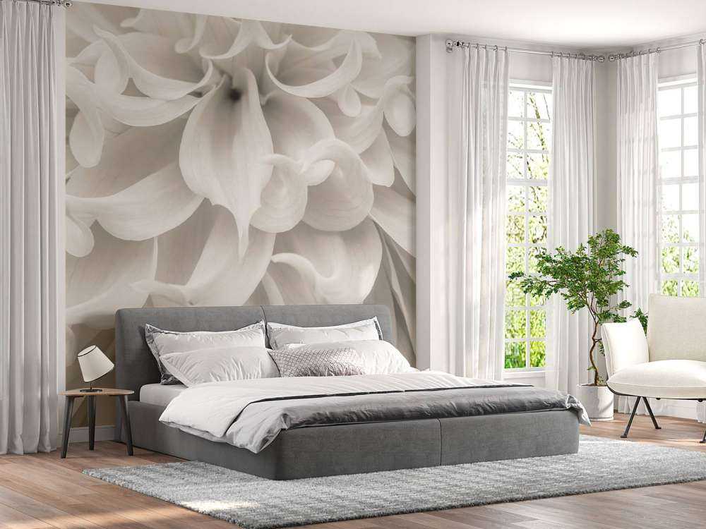 Close-up van Dahlia bloem