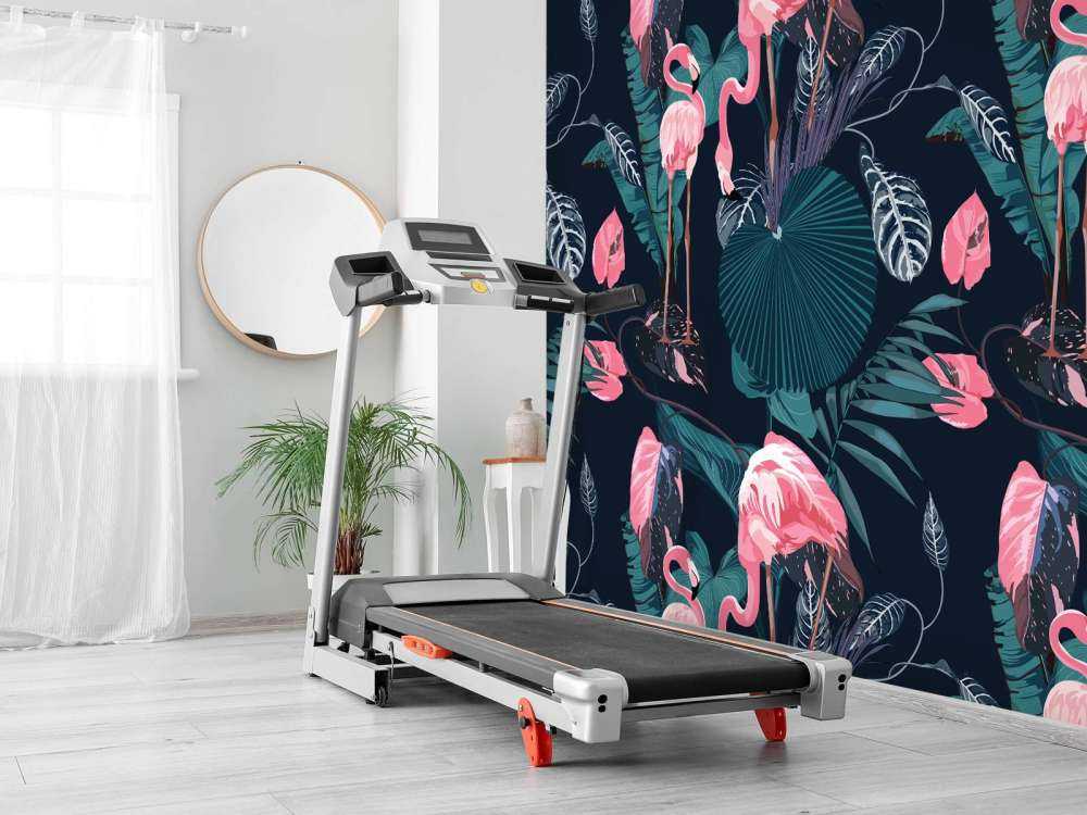 Wilde roze flamingo's