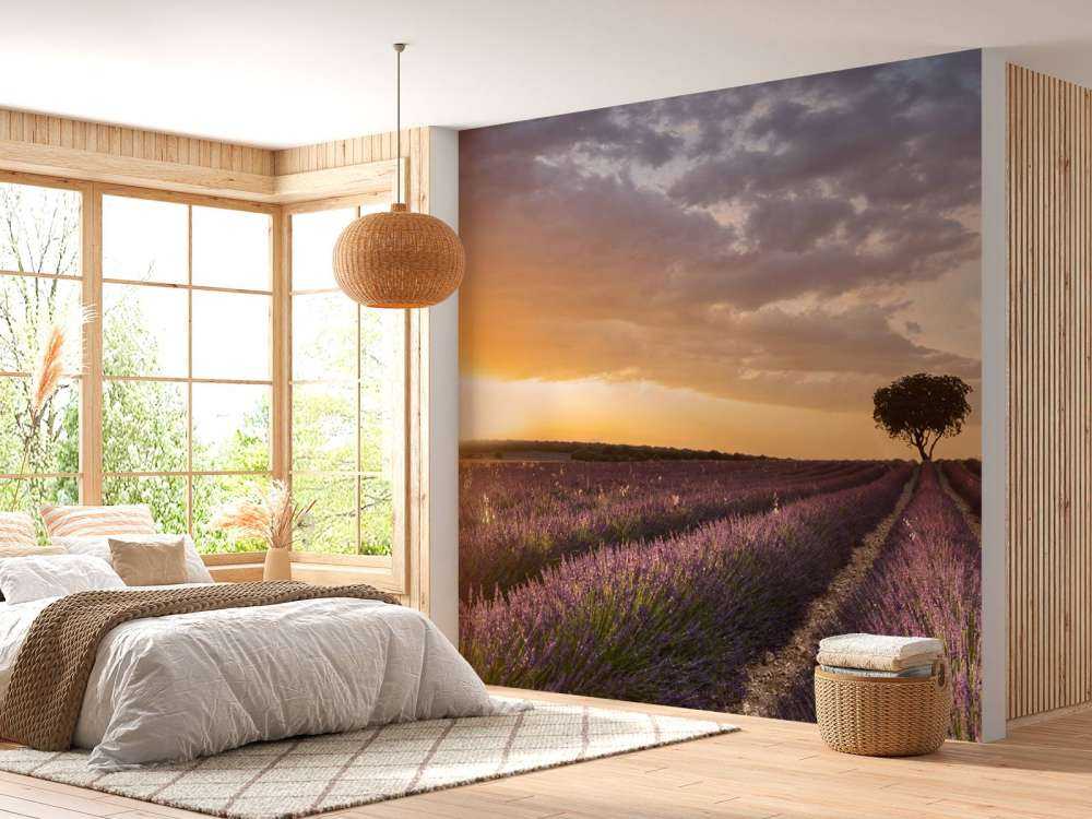 Destination lavender