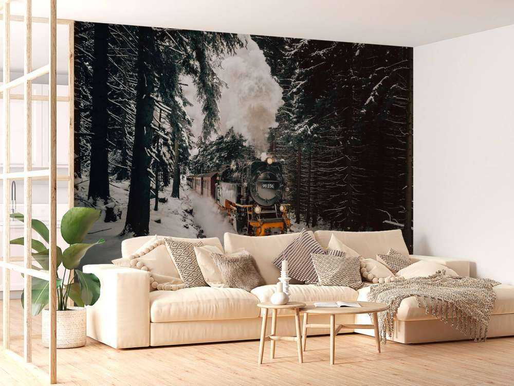 De Zweinstein express