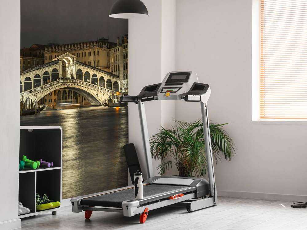 Rialtobrug in de avond