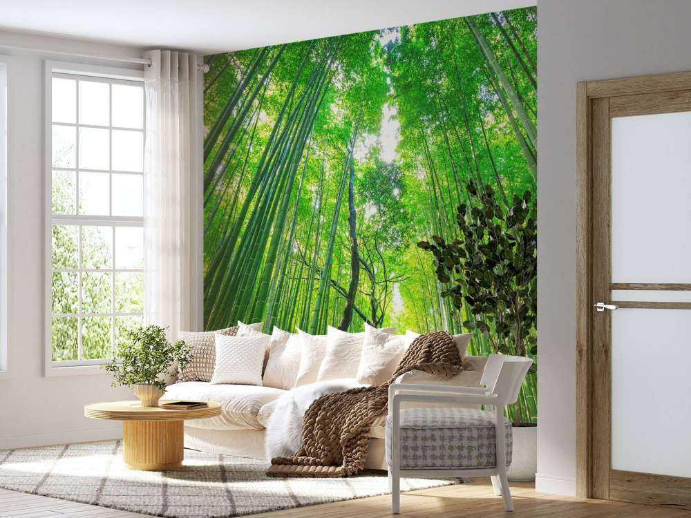 Bamboebos van Arashiyama