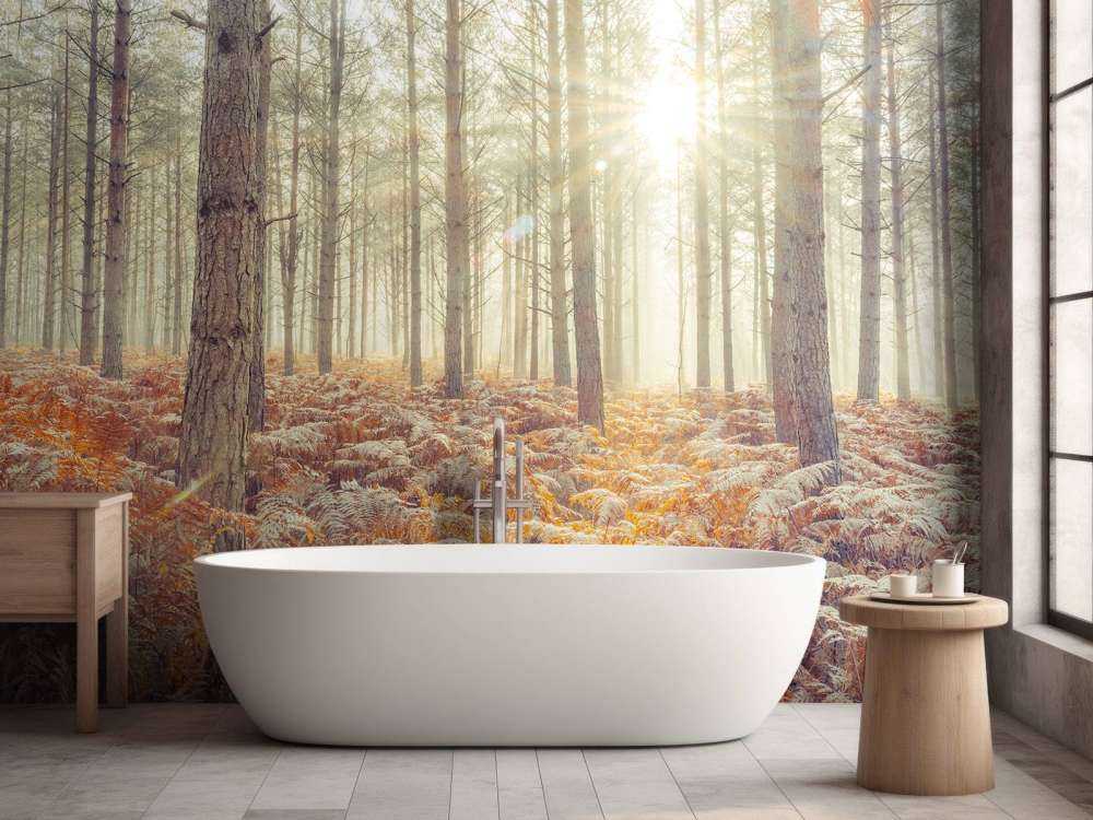 Zonnestralen door de koude bomen