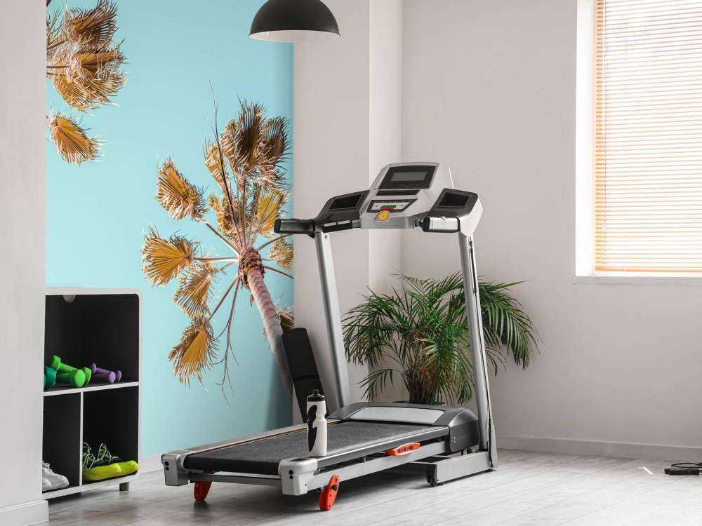 palmbomen met een blauwe lucht