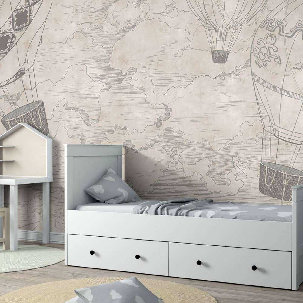 Luchtballonnen met een uitzicht