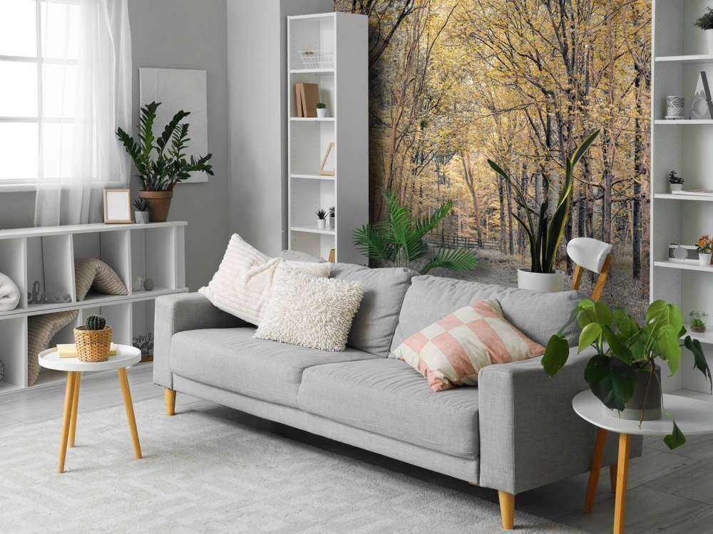 Bosweg tijdens de herfst