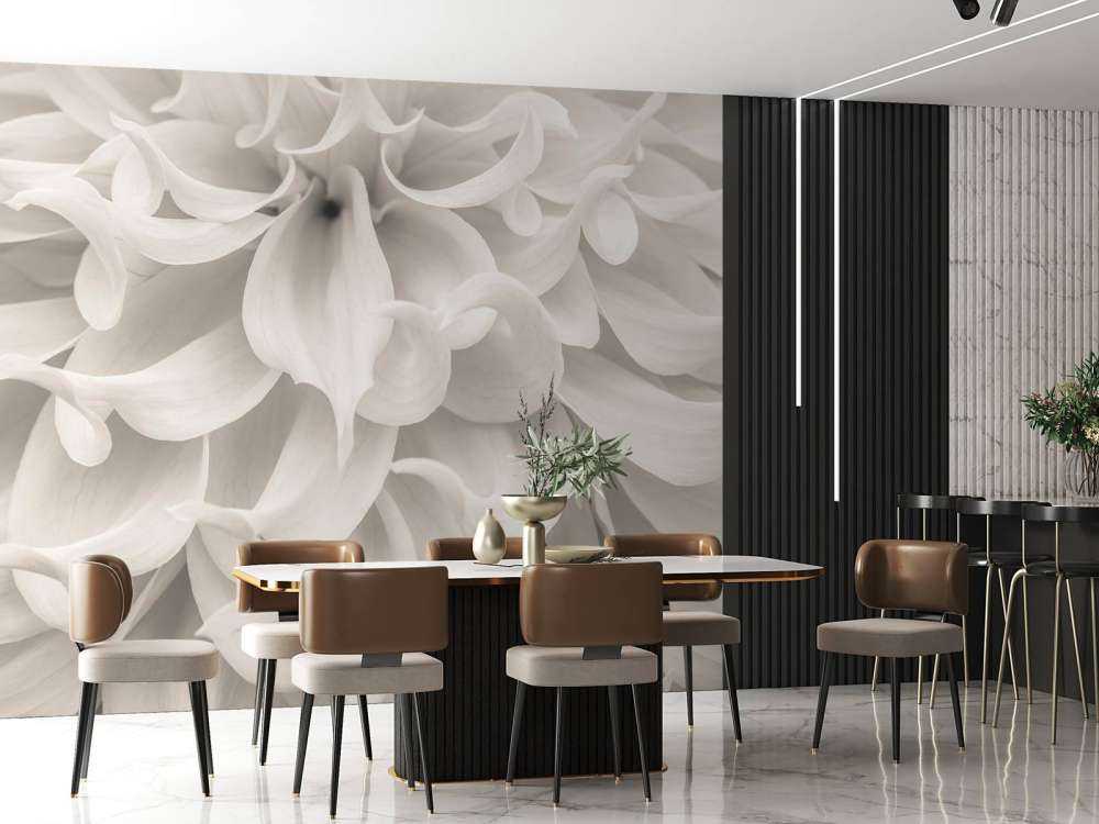 Close-up van Dahlia bloem