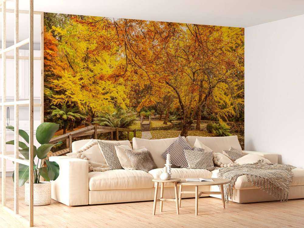 Australisch parkje in de herfst