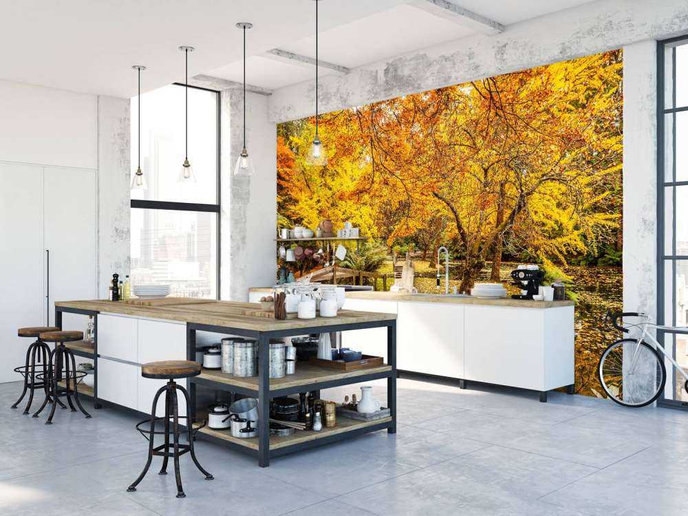 Australisch parkje in de herfst