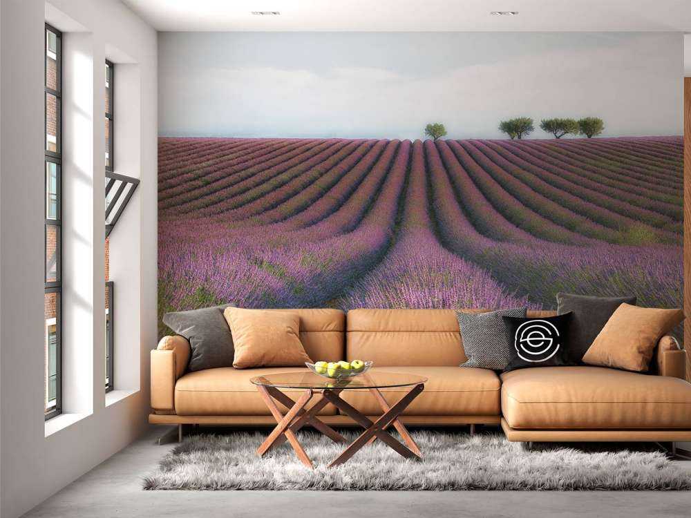 Velours de Lavender