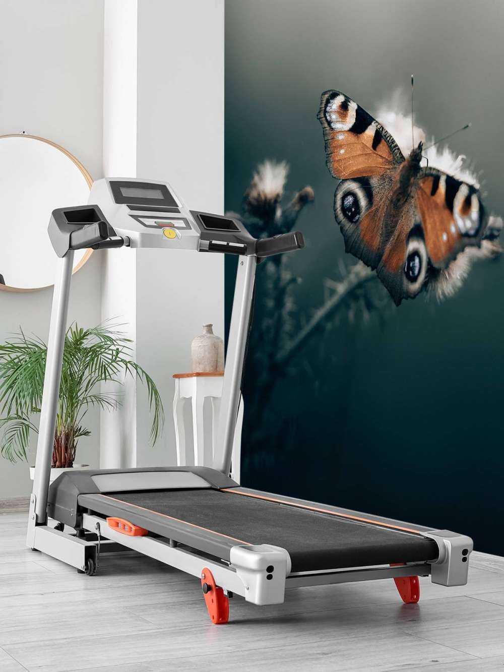 Patroon van de natuur